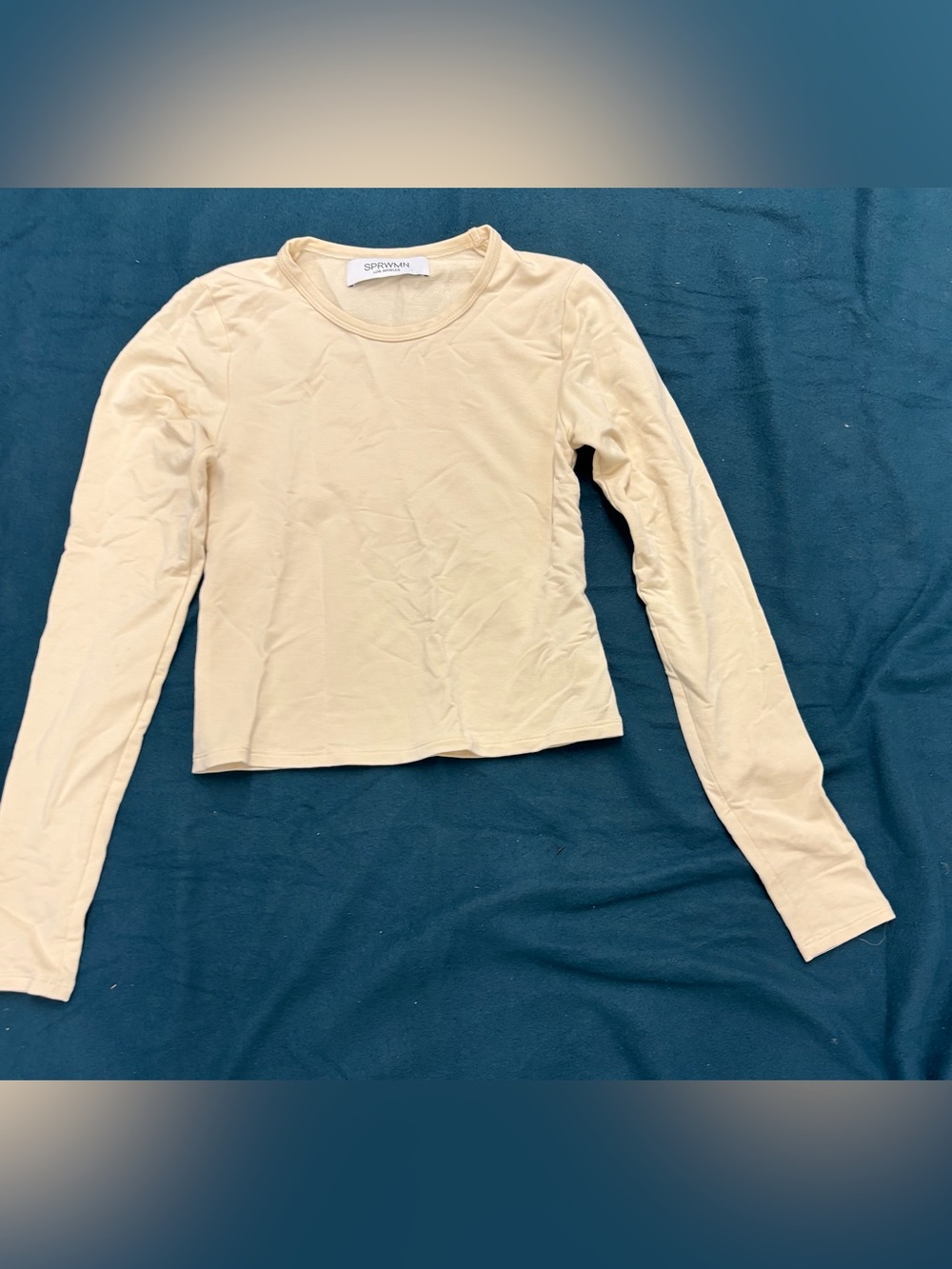 Sprwmn Long-Sleeve Crewneck Top in Light Beige